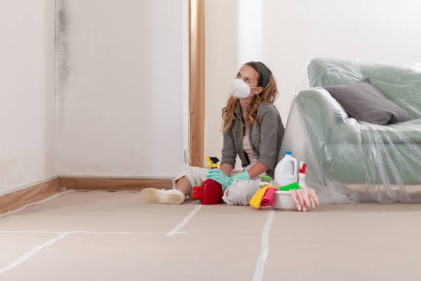 Reliable Mold Remediation contractor in Manchester, KY by WQB Mold Removal
